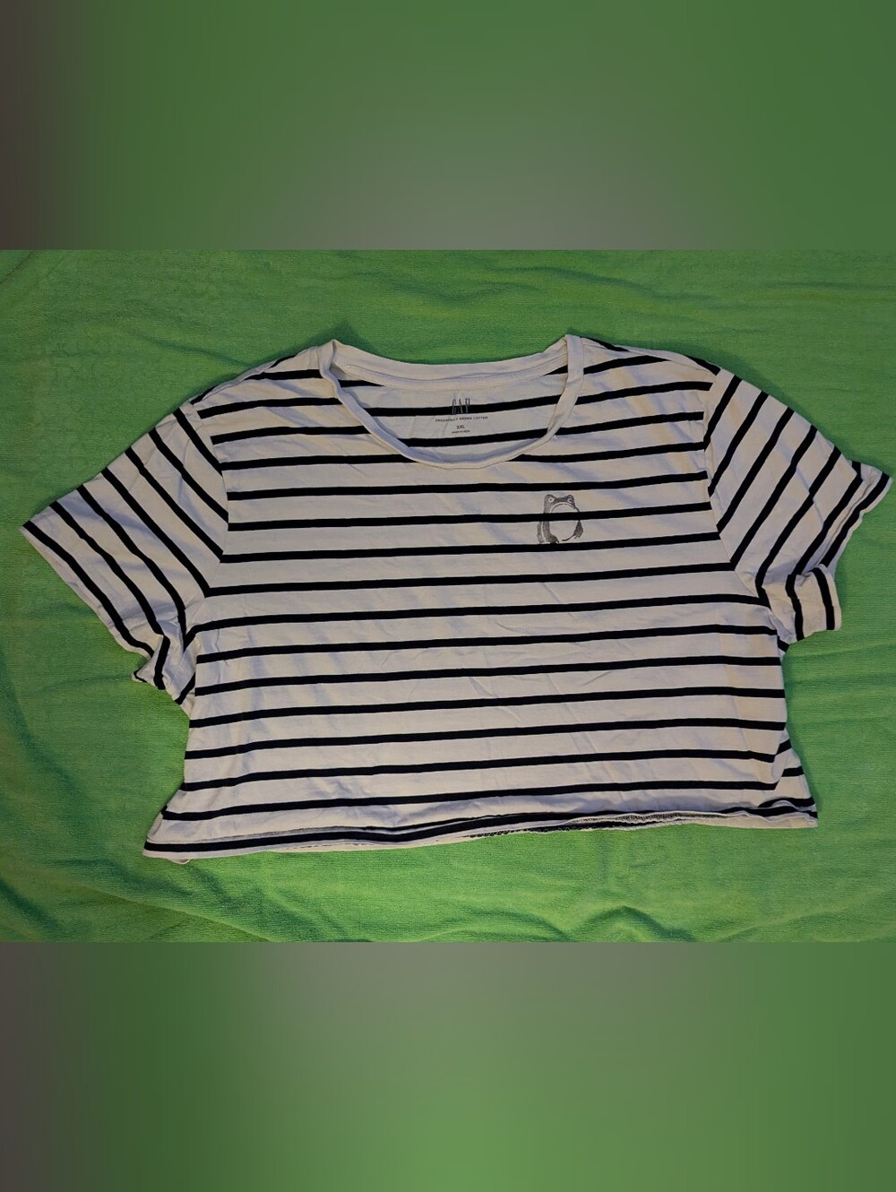 Upcycled Gap Striped Crop Top in White and Black feat. Hoji Wabi-Sabi Frog